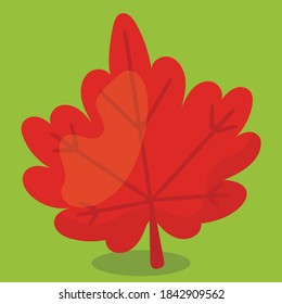 thanks giving owl leaf design vector illustration