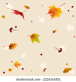 Thanksgiving autumn background with maple leaves on light background