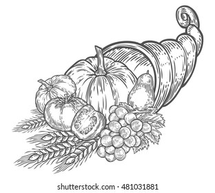 emblema del festival de otoño de la cornucopia del día de Acción de Gracias. Verduras ecológicas frescas, trigo y frutas de origen blanco, en forma de vintage monocromo. Esbozar ilustración dibujada a mano vectorial