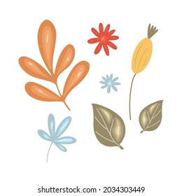 Thanksgiving autumn floral set. Leaves isolated on white background. Vector illustration in simple cartoon style