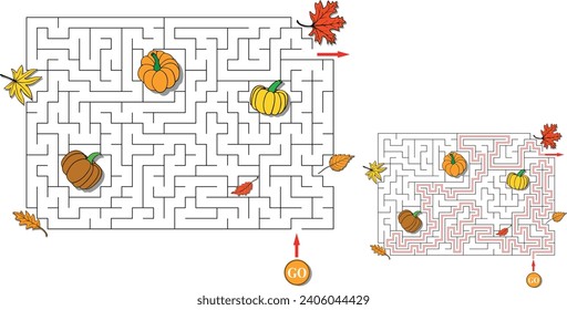 Thanksgiving autumn labyrinth with scattered pumpkins and leaves. Maze with entry and exit. Solution included - red passing route. Children logic game for brain training. Vector illustration.