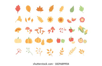 Thanksgiving Autumn shape illustration vector element for Holiday festival and celebration.