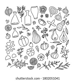 Thanksgiving and autumn traditional symbols in doodle style collection. Set of hand drawn design elements for greeting card, invitation, poster templates - fig, pumpkin, branches, leaves , bottles