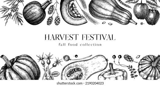 Thanksgiving background. Pumpkins black and white sketches.  Autumn plants and fruit drawings. Vector vegetables, butternut squash, marrow, pumpkin sketches. Fall banner design. Harvest festival.