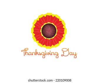 thanksgiving backgrounds with red flower