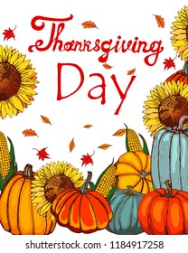 thanksgiving banner, vector, pumpkin.sunflower, corn isolated on white background, hand drawing