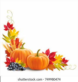 Thanksgiving border with pumpkins, wheat ears and leaves on white. Vector illustration. 