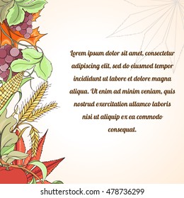 Thanksgiving card can be used for can be used for holiday cards, invitation, postcard or website. Autumn bright flyer. Holiday design of apple, corn, grapes