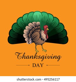 Thanksgiving card with traditional elements, Vector illustration