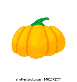 Thanksgiving colorful pumpkins. Cartoon and flat style. Vector illustration isolated on white background.