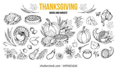 Thanksgiving coloring book illustrations set. Traditional autumn holiday celebration hand drawn symbols. Fall season harvest, natural vegetables. Turkey, pumpkin, honey and pie monochrome drawings
