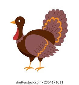 Thanksgiving concept. Turkey bird on white background. Character. 