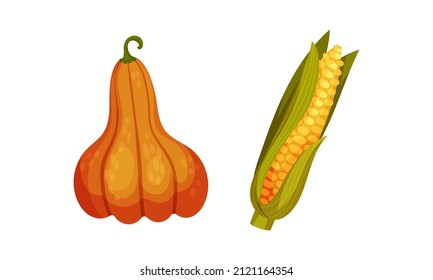 Juego de objetos de Acción de Gracias y otoño. Ilustración vectorial de calabaza y maíz