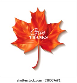 Thanksgiving Day background with red maple leaf. Vector illustration.