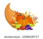 Thanksgiving Day cornucopia. Fall harvest horn with plenty of pumpkins, corns, grapes, apples decorated by leaves and cranberries