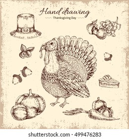 Thanksgiving day design with fruit and vegetables turkey and acorns on worn background hand drawn vector illustration 