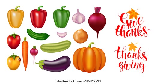 Thanksgiving Day elements.  Isolated photo realistic vector vegetables. 3D effect. Handwritten inscription and maple leaf. Modern calligraphy.  Locally natural product.