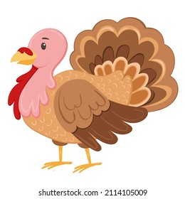 Thanksgiving Day. Funny cartoon turkey character in flat style isolated on white background. Farm bird vector illustration