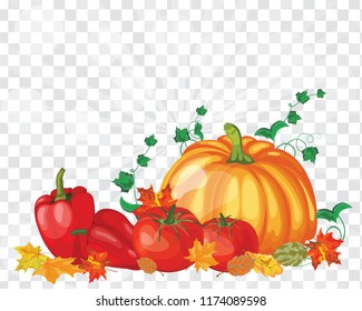 Thanksgiving Day Greeting Card. Design Consist From Pumpkin, Pepper, Tomato, Maple Leaves Over Transparency (alpha) grid With Sun Rays and Flares.  Very Cute and Warm Colors. Vector illustration.