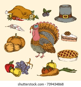 Thanksgiving day hand drawn colored set with turkey fruit berries and vegetables pie hat isolated vector illustration