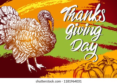 thanksgiving day, holiday poster, turkey domestic fow, calligraphy text hand drawn vector illustration sketch