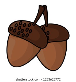 thanksgiving day nuts