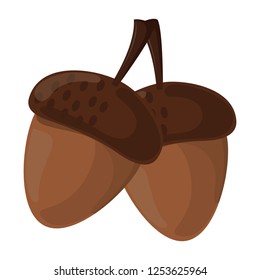 thanksgiving day nuts