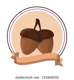 thanksgiving day nuts