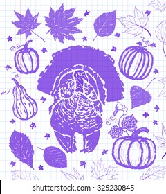 Thanksgiving day objects collection/Ink hand drawn thanksgiving turkey, pumpkins and autumn leaves