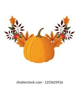 thanksgiving day pumpkin