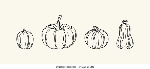 Thanksgiving Day pumpkins icon set.  Halloween silhouette black hand drawn line pumpkins sketch. Vector illustration, traditional Halloween decorative element.