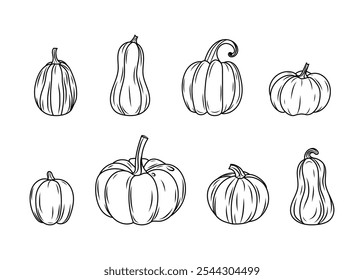 Thanksgiving Day pumpkins icon set. Halloween silhouette black hand drawn line pumpkins sketch. Vector illustration, traditional Halloween decorative element.