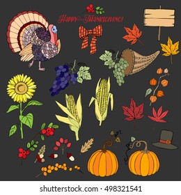 Thanksgiving day. Set of  hand drawn elements. Can be used for backgrounds and cards for Thanksgiving   decorations. Pumpkin, turkey, harvest, autumn. Vector Illustration 