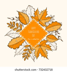 Thanksgiving day top view vector illustration. Autumn label hand drawn. Autumn leaves sketch. Engraved image.