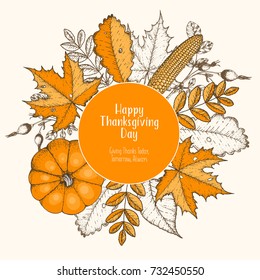 Thanksgiving day top view vector illustration. Autumn label hand drawn. Autumn leaves, corn and pumpkin sketch. Engraved image.