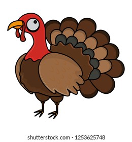 thanksgiving day turkey