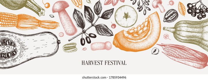 Thanksgiving day vector banner. Autumn harvest festival vintage design. Fall season backdrop with hand drawn berries, fruits, leaves, mushrooms illustration. Traditional autumn  botanical elements 