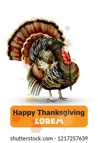 Thanksgiving day Vector. Turkey symbol isolated on white background