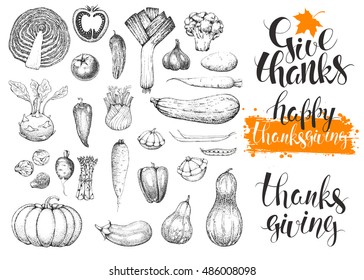 Thanksgiving Day vector vintage elements. Handwritten calligraphy inscriptions and maple leaf. Logo. Hand drawn vegetables in style engraving. Food background. Harvest.