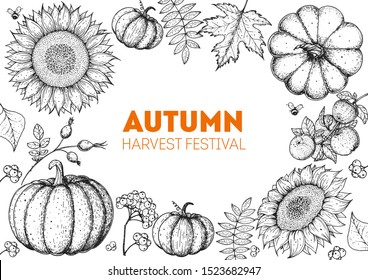 Thanksgiving design template. Sketch design. Hello autumn illustration. Harvest festival. Hand drawn frame with fall leaves, pumpkin and sunflower. Vector illustration 