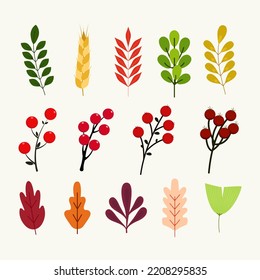 Thanksgiving elements with leaf different shape.