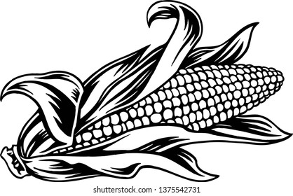 Thanksgiving or Fall celebration ear of corn vector art