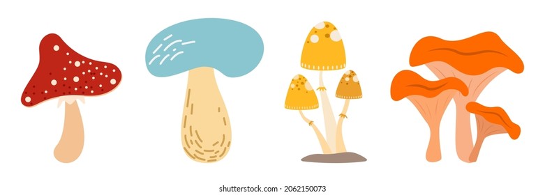 Thanksgiving. Find same mushrooms. Autumn matching activity for children. Funny educational fall season logical quiz worksheet for kids. Simple printable game with forest plants