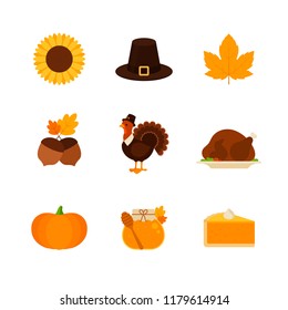 Thanksgiving - Flat Icon Set - Sunflower, Pilgrim Hat, Fall Leaf, Nut, Turkey, Pumpkin, Honey Jar and Pie Isolated on a White Background