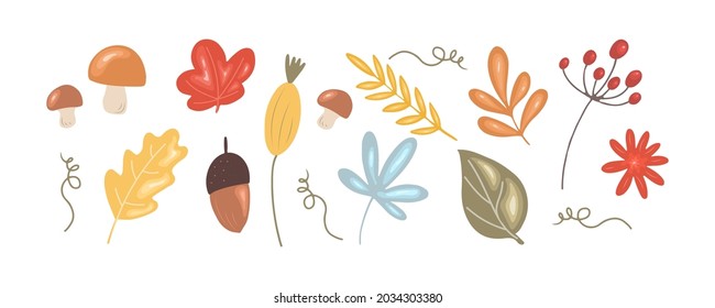 Thanksgiving floral set. Leaves, mushrooms, berries and acorns isolated on white background. Vector illustration in simple cartoon style