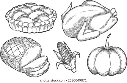 Thanksgiving food sketch. Turkey, ham, pie, corn, pumpkin. Stroke style