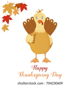 Thanksgiving funny turkey on a white background