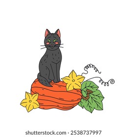 Thanksgiving greeting card with cute cat and pumpkin. Hand drawn fall harvest illustration.