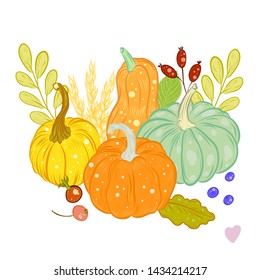 Thanksgiving greeting card with pumpkins, vector illustration, design element