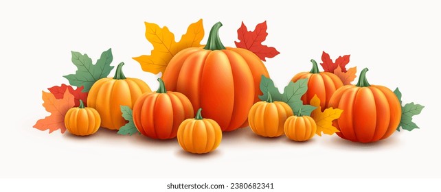 Thanksgiving or Halloween pumpkins background - vector illustration isolated on white